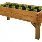 Raised Veggie Box